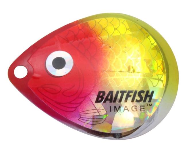 BAITFISH IMAGE BLADES #5 CLOWN - Albert's Sports & Workwear LTD.