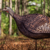 Turkey-Decoy-photoform-turkey-hunting-decoy-Hen-2