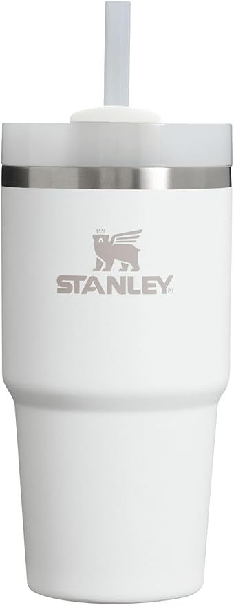 STANLEY 20OZ FROST