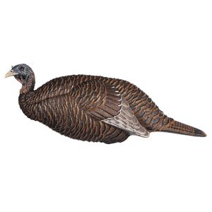 FLEXTONE THUNDER CHICK BREEDER DECOY